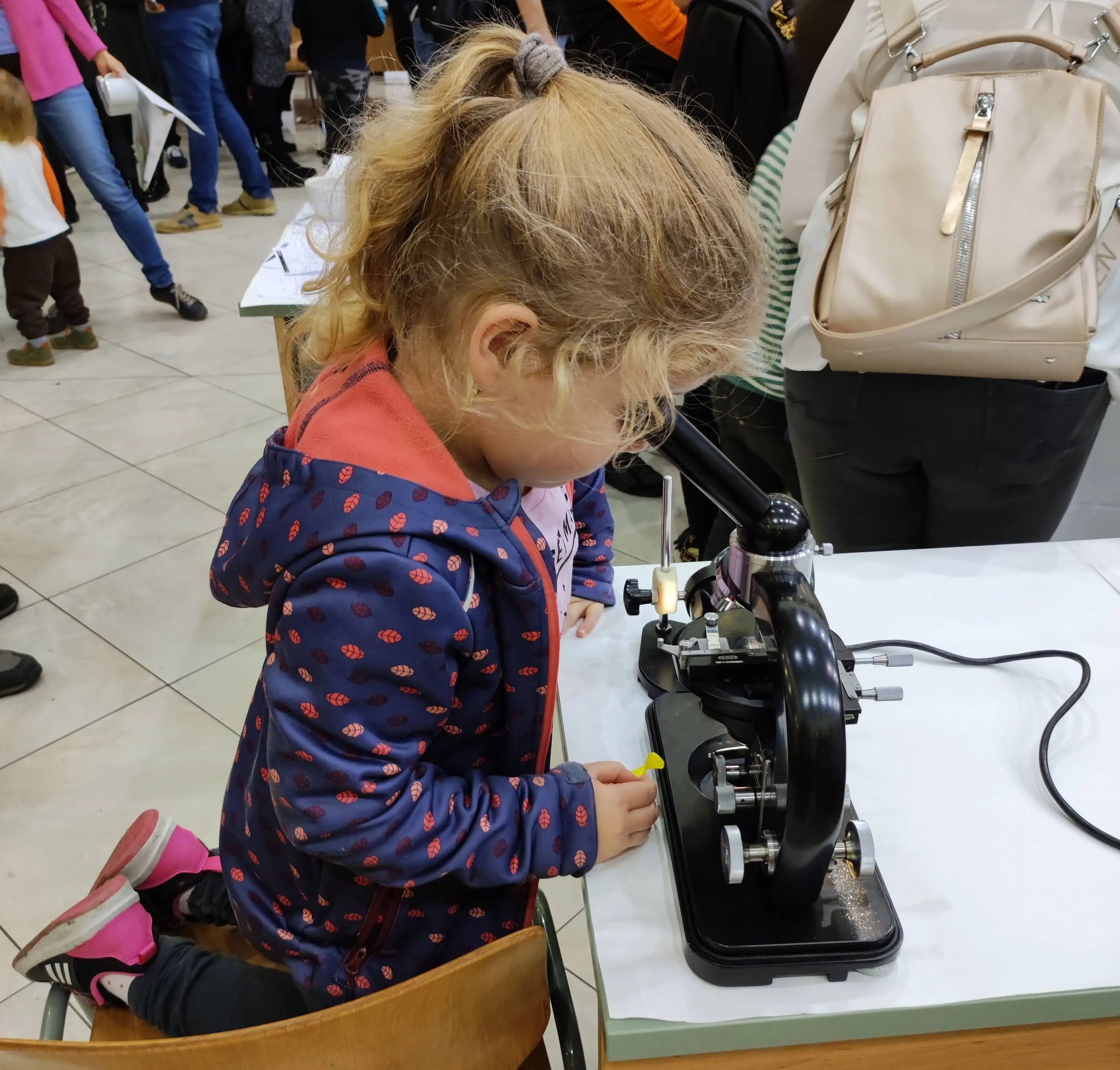 Kisl&aacute;ny mikroszk&oacute;ppal